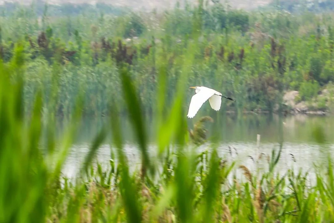 家在北仑,我有一个家北仑