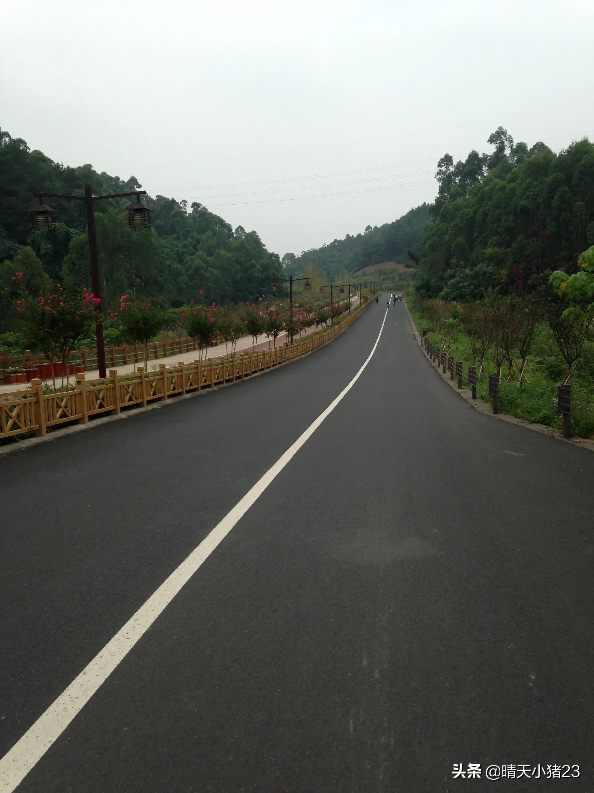 海棠香国乐山宣传视频,海棠香国乐山在哪里