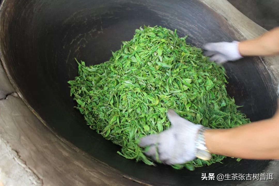 普洱茶收藏书籍推荐,普洱茶的香气大揭秘
