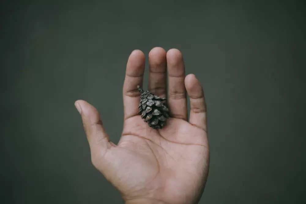 又现“狼师”!遇上教师越界,该如何应对才能让孩子杜绝伤害?