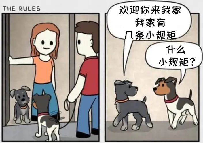 铲屎官和狗子的漫画,铲屎官和狗子们漫画