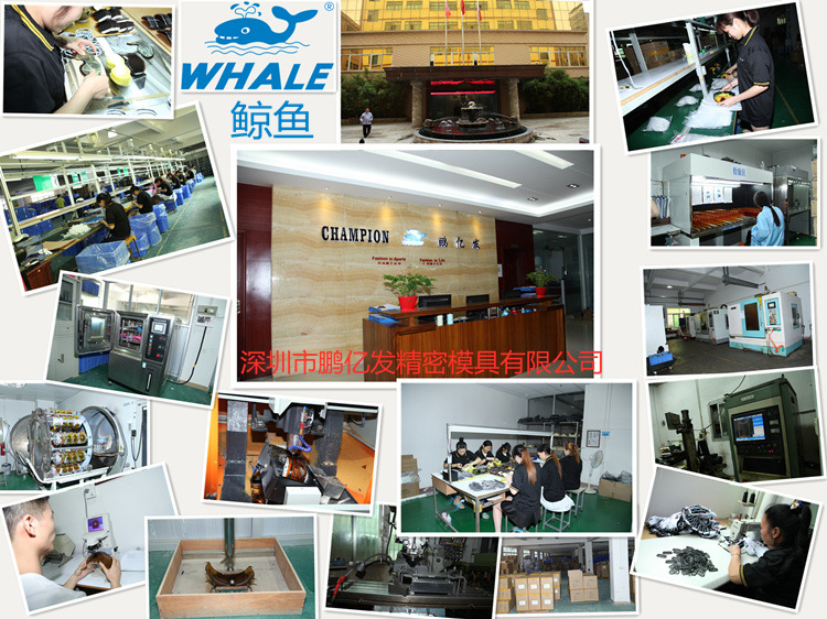 滑雪镜防雾镜片,比耐思滑雪镜大球面