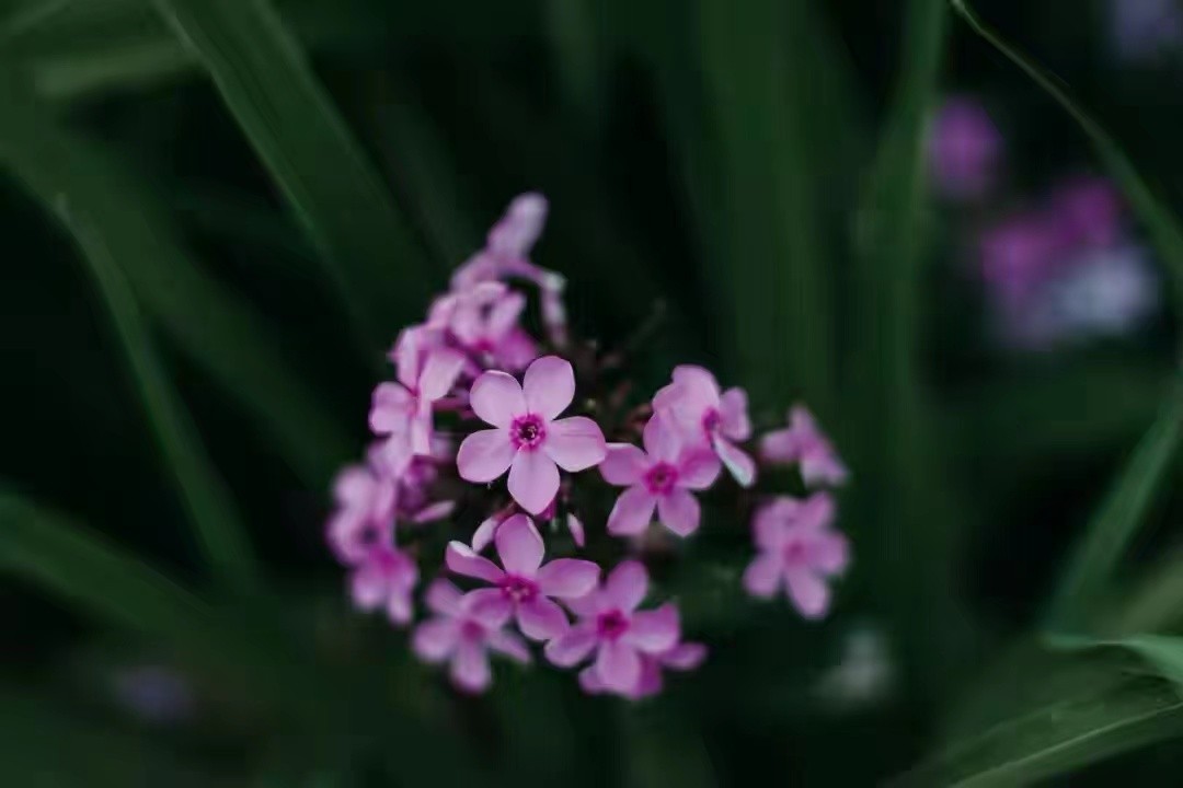 女人走路姿势看性格命运,女人走路的姿势看出性格