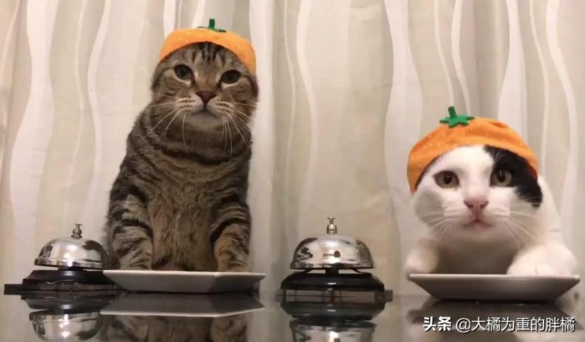 没到饭点就饿怎么回事,没到饭点肚子饿怎么办