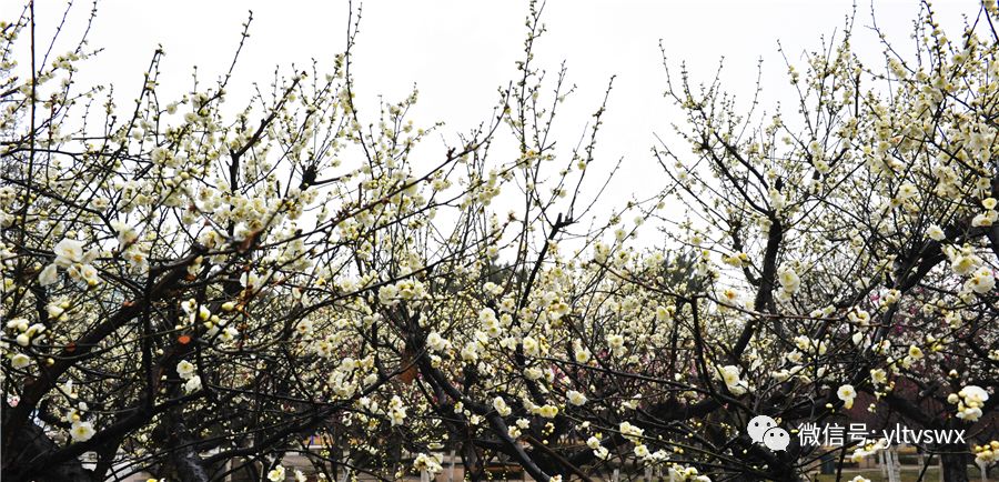 杨凌现状,杨凌最新照片