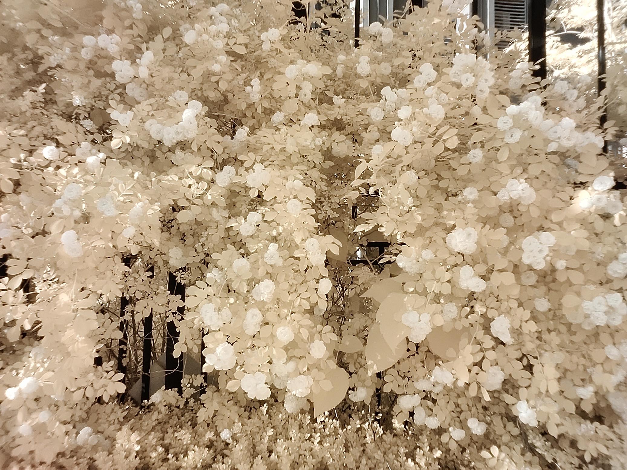 oneplus8pro2024还值得买吗,oneplus8pro测评