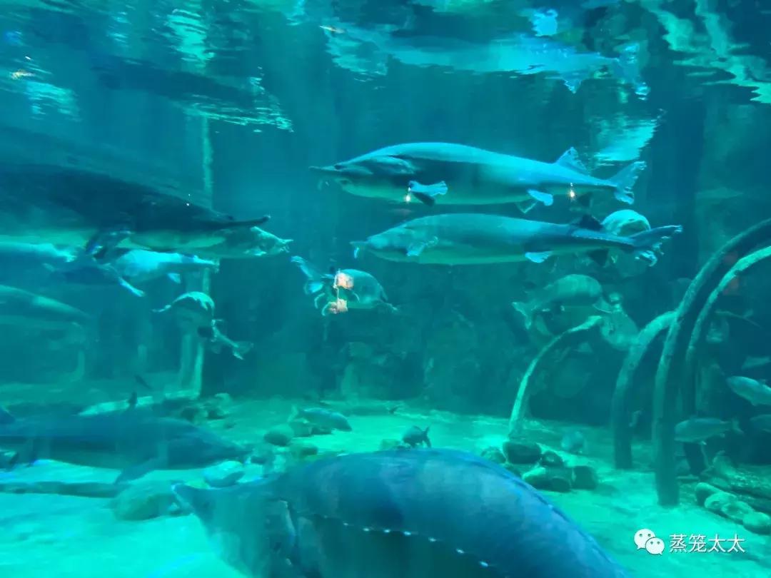 橡皮泥最好做的方法,橡皮泥买什么样的安全