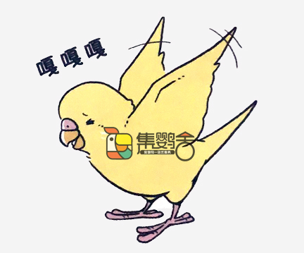 鹦鹉意外受伤,鹦鹉受伤怎么治疗