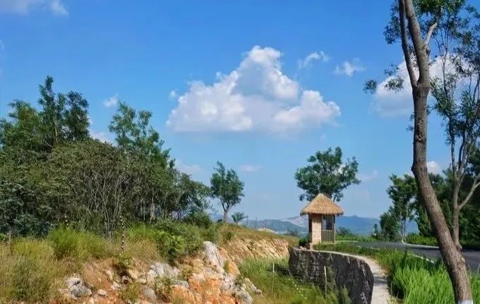 济南动物王国一日游详细攻略,济南一日游动物园