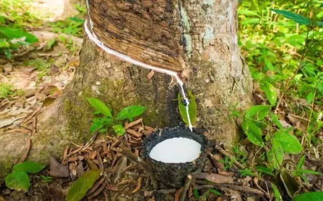 乳胶床垫为什么卖这么贵,原来是有原因的