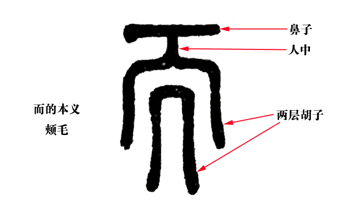 说文解字第280课全集,说文解字第70课