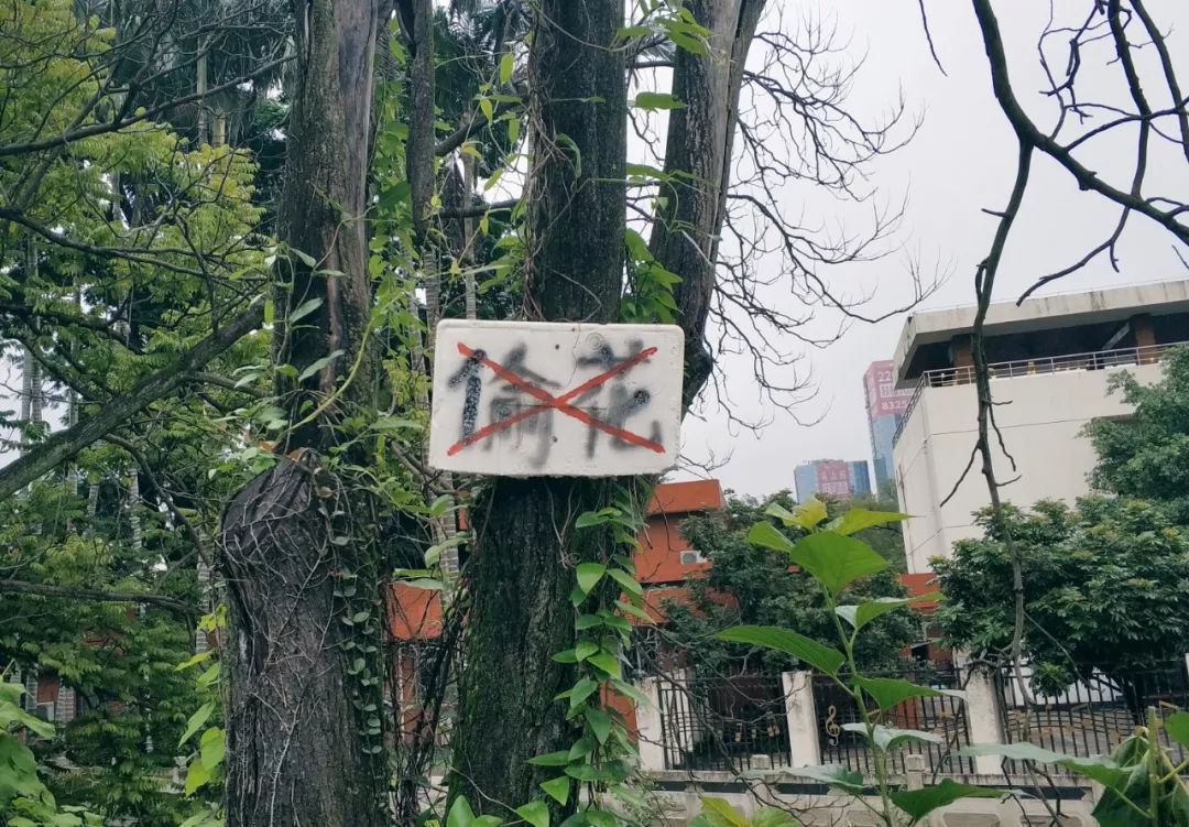 这些手写文字里，藏着整个福州城正在消失的记忆