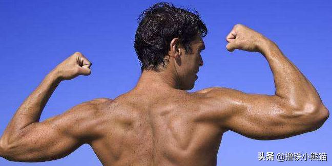 肌肉变小了怎么快速恢复,肌肉变小怎么练