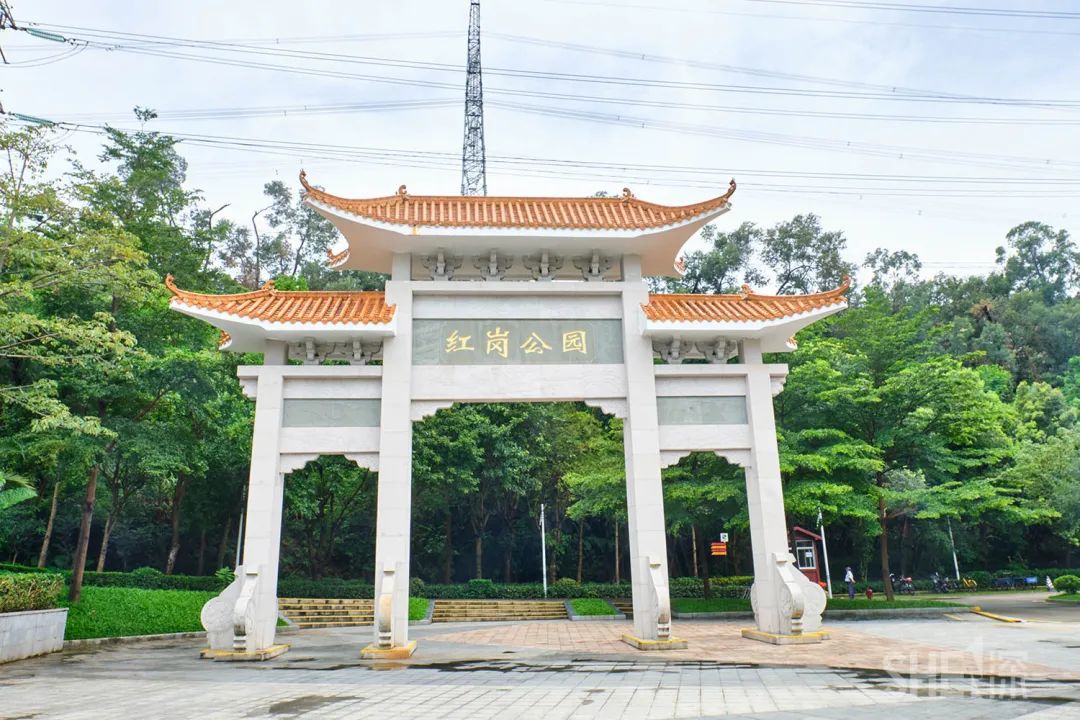 罗湖发达吗,罗湖区的实力到底有多强