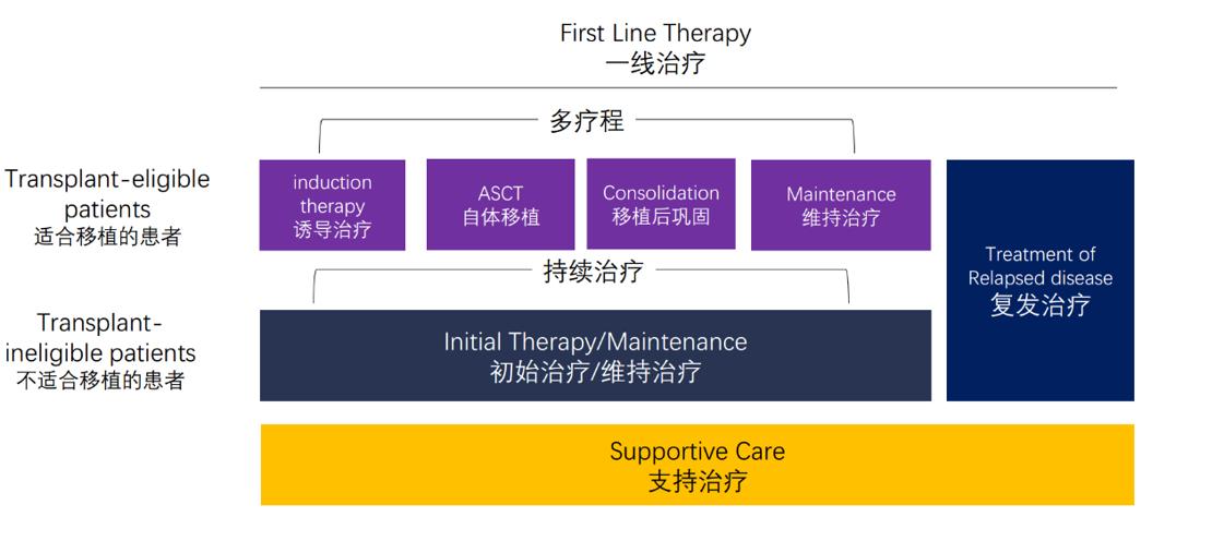 多发性骨髓瘤治疗原则,多发性骨髓瘤治疗方法