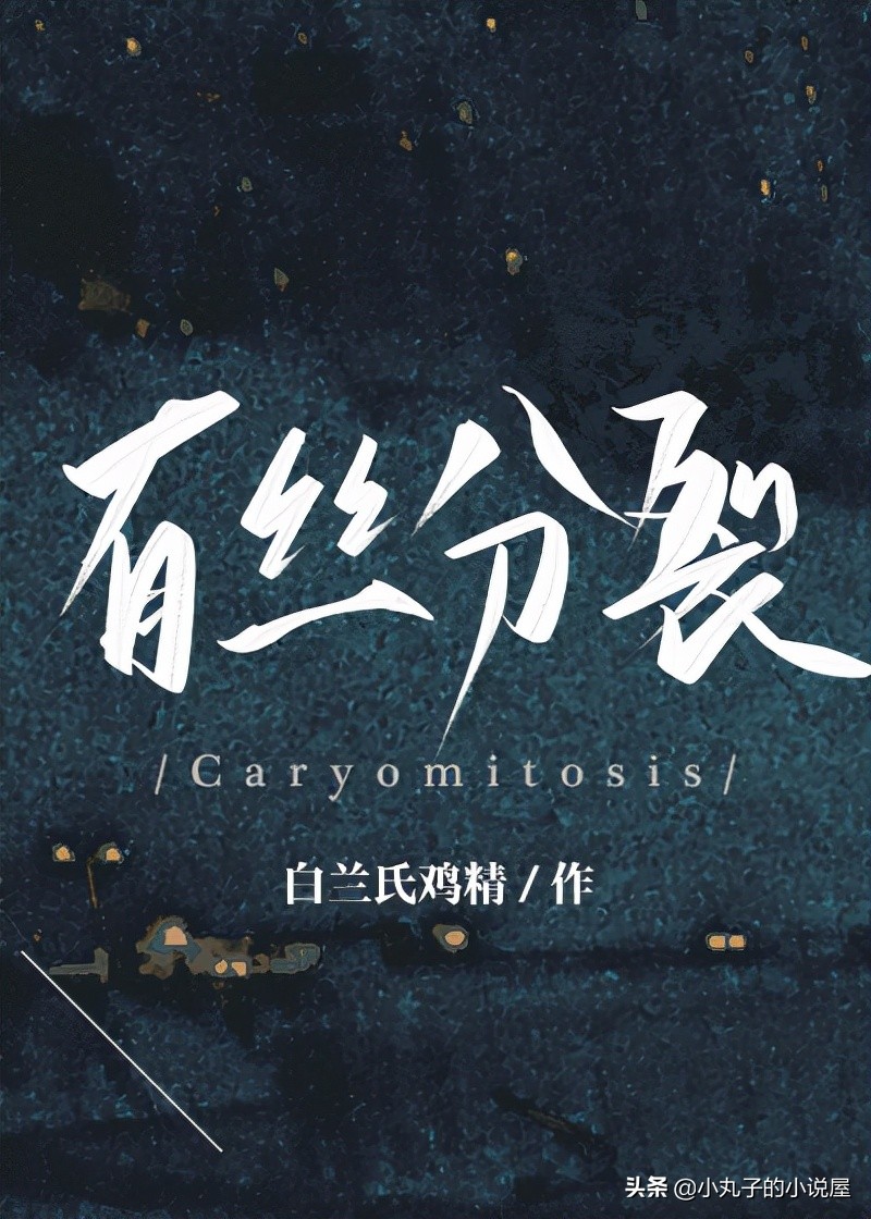 精选好文评分9.9,精选好文导读