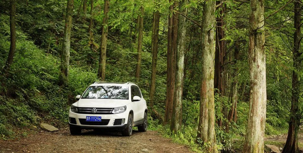汉中龙池湖攻略,汉中龙池湖简介