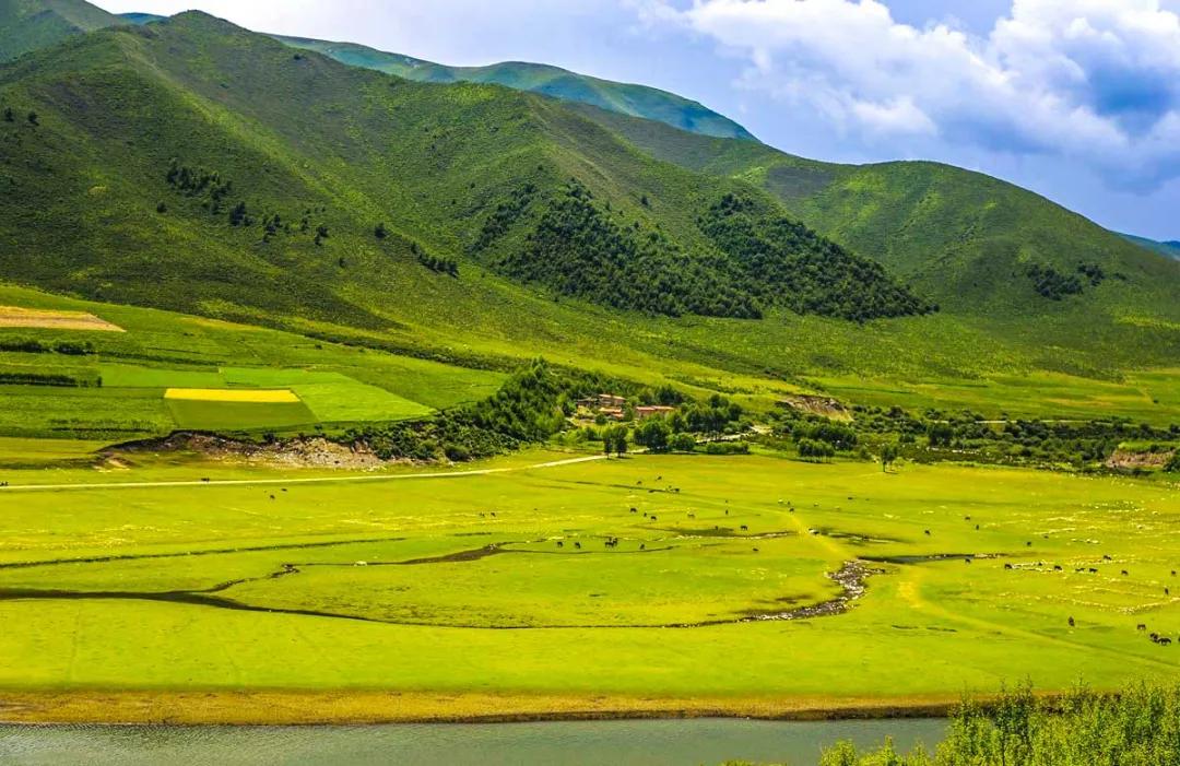 适合夏天去旅游的自驾路线,适合夏季的自驾游路线推荐