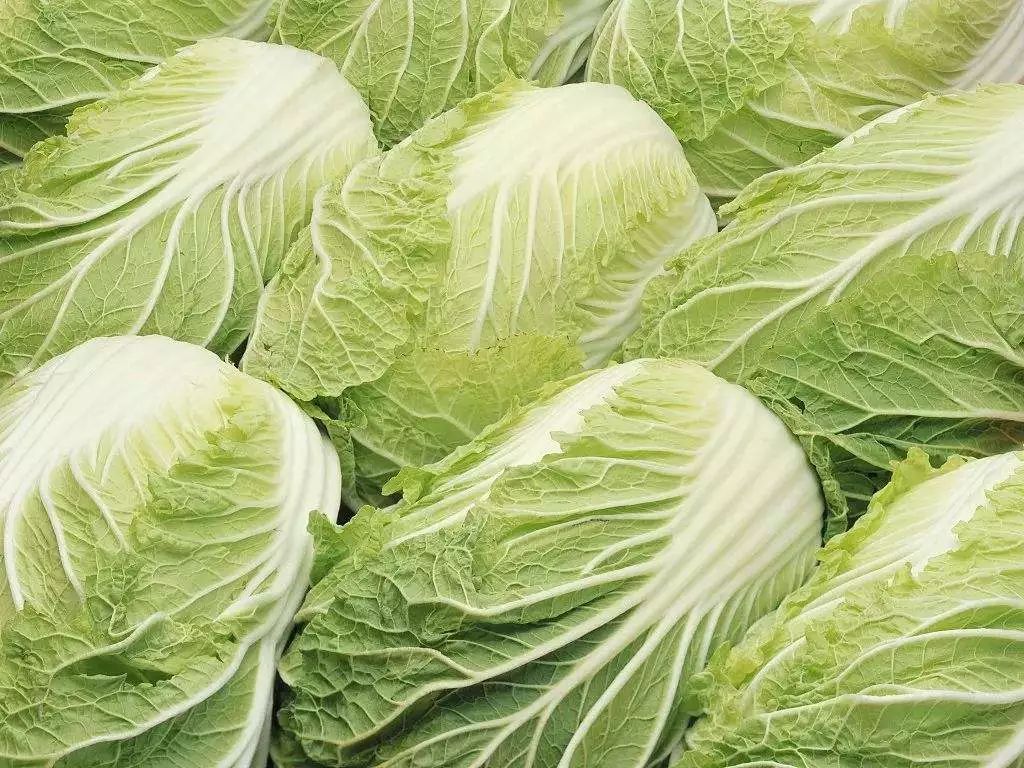 中韩代购物流模式分析图,中韩代购怎么做