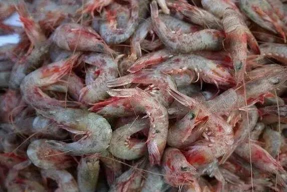 防城港怎么吃海鲜便宜不被坑,防城港干货海鲜有哪些