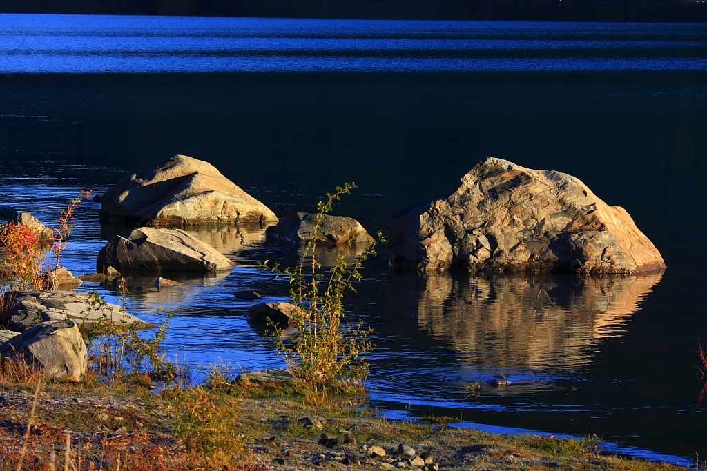 2.5.3漫话新西兰--(第0篇)只如初见