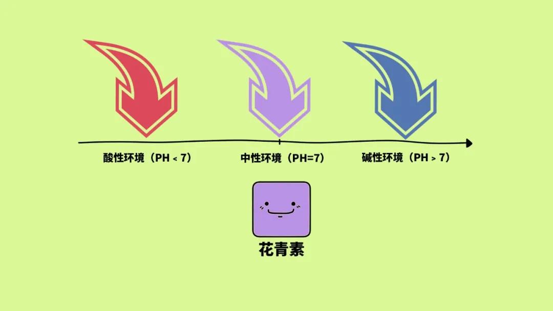 紫薯煮粥颜色变蓝,紫薯煮粥变蓝是怎么回事