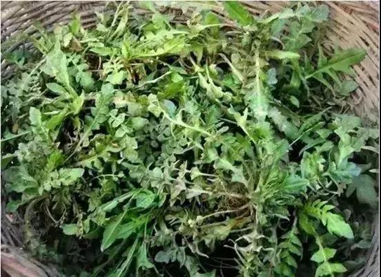 如皋本地人吃的美食,如皋当地美食