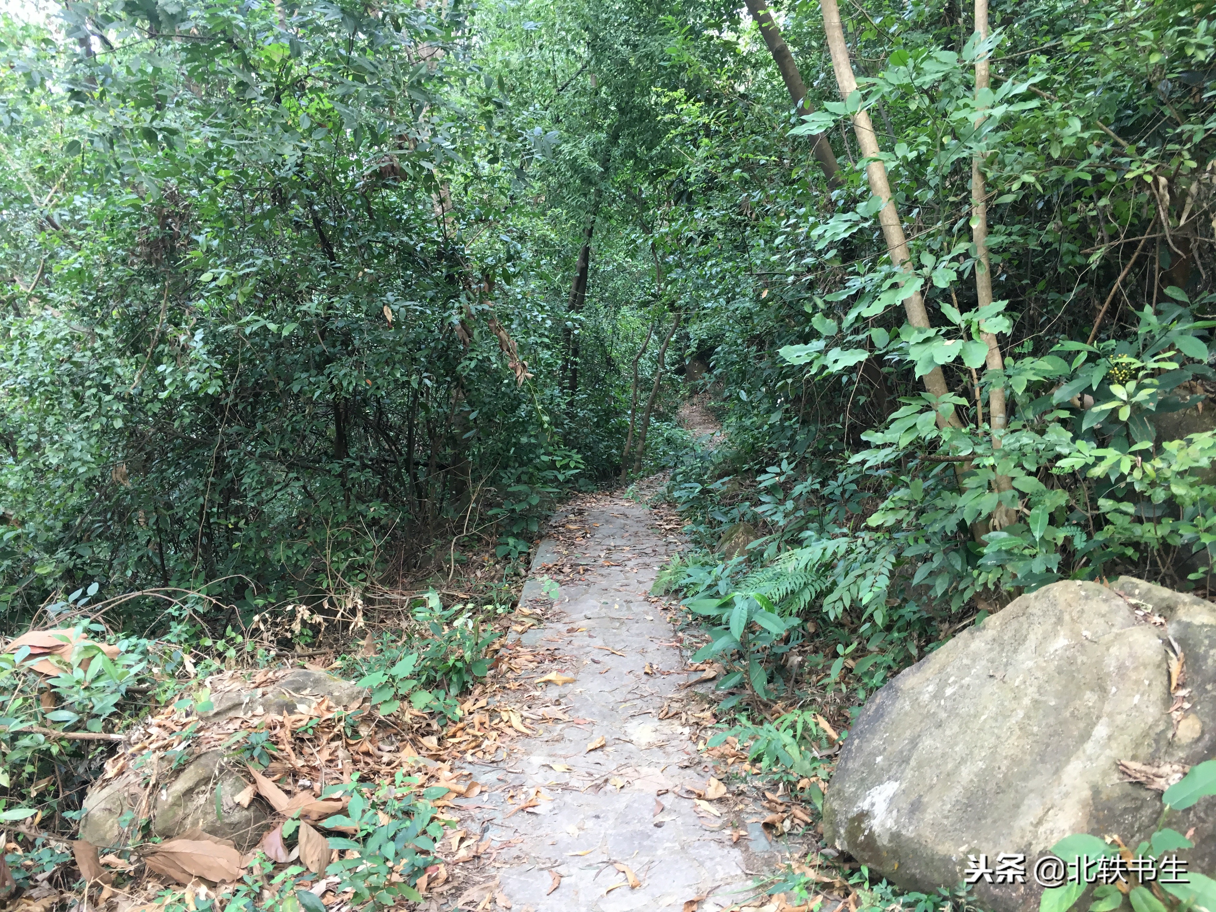 广州值得打卡的免费景点,广州天河必打卡的景点