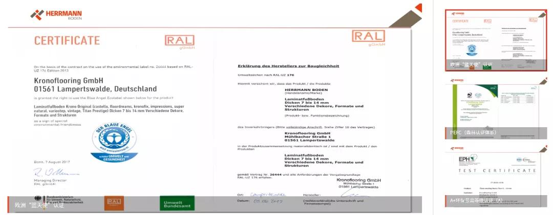 艾丽莎地板怎么样 (德国大品牌地板)