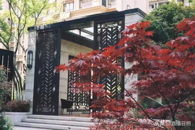 日照索隆,日照文旅