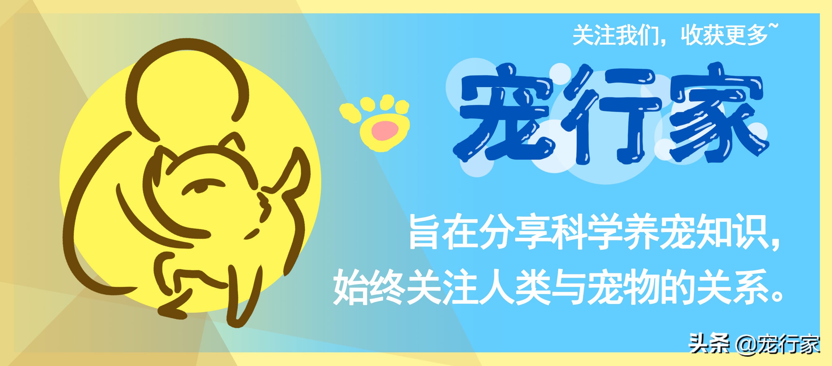 为什么猫咪抓到苍蝇就把它吃掉,猫咪爱吃苍蝇是要吃什么驱虫药