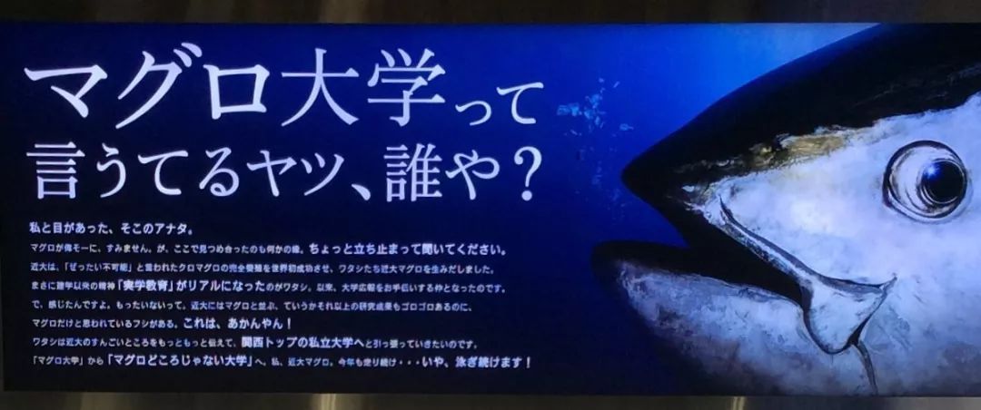 日本人眼中十大武校,日本人眼中的十大强国