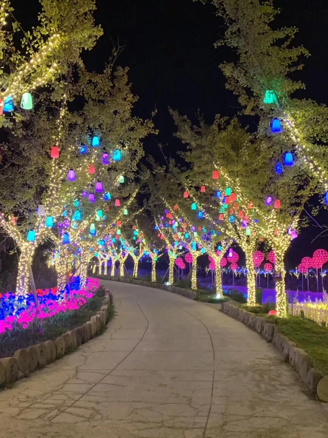 免费梦幻灯光节,梦幻灯光节免费门票