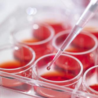 色彩缤纷的功能原料(上)