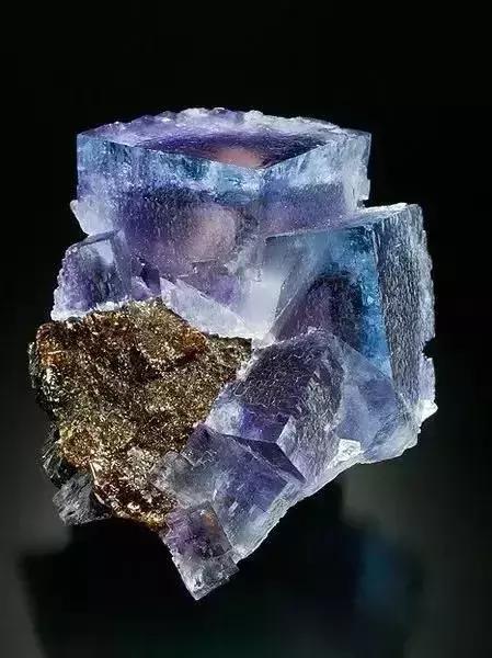 世界上令自己眸生情，见到后再也不爱别人的51个丽人