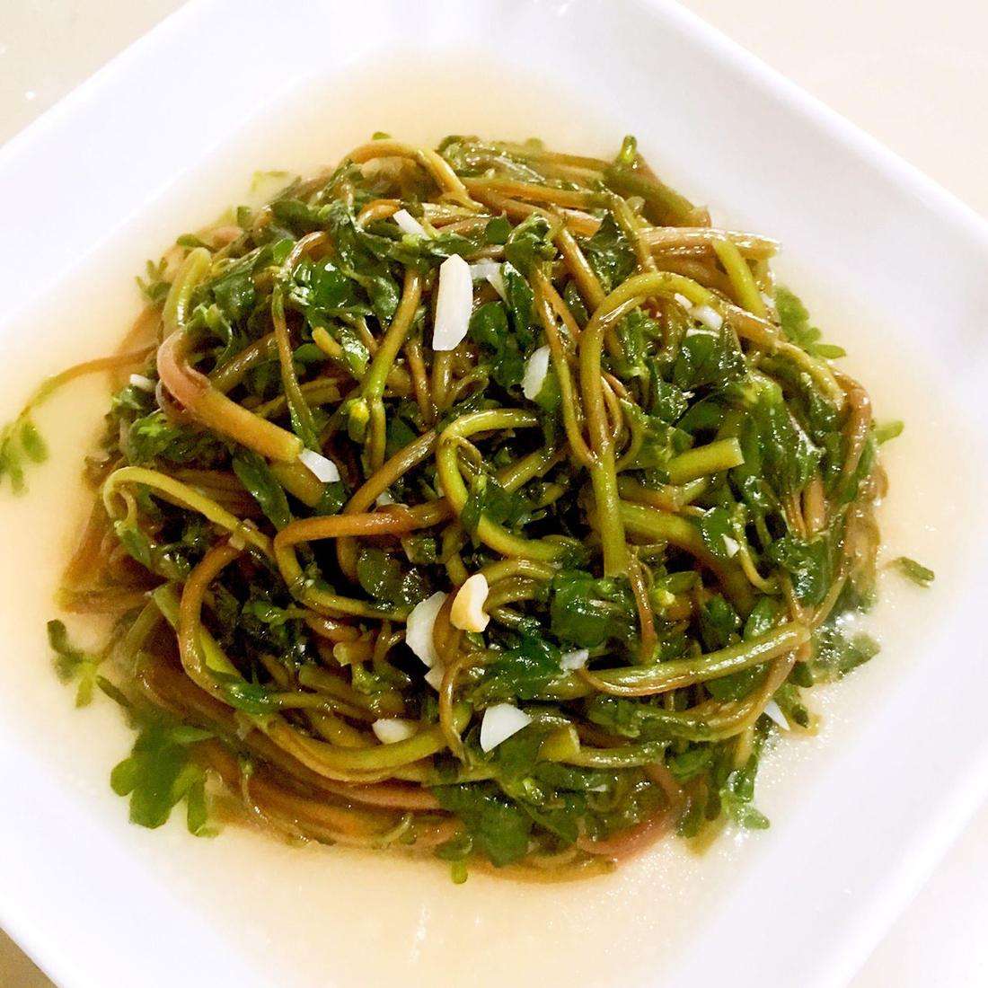 了解野菜马齿苋,野菜马齿苋有很多的功效你知道吗