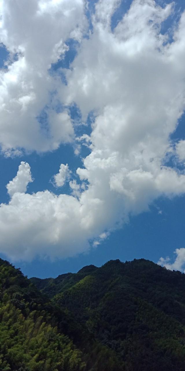 九州文学南京诗社作品,九州文学社作品