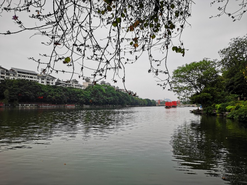 桂林桂湖景苑,桂林桂湖
