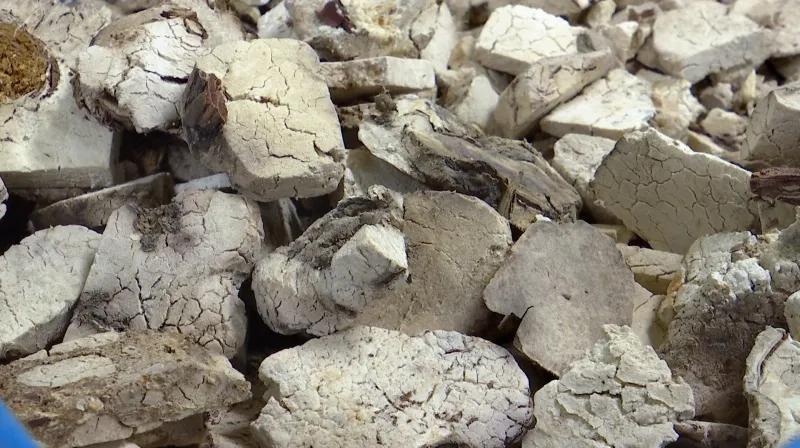 湖北聚瑞生物科技在哪,湖北聚瑞制药