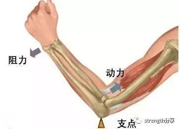 最全深蹲动作指南,健身知识8大深蹲越学越过瘾