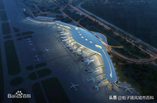 浙江省第三大机场视频,浙江宁波栎社机场最新发布消息