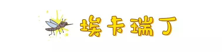 林允为闺蜜辟谣反被群嘲,林允被人疯狂吐槽