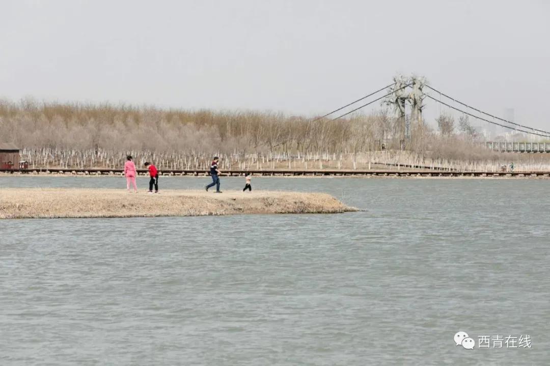 天津将新添一座公园预计开放时间,天津即将开放的公园在哪里