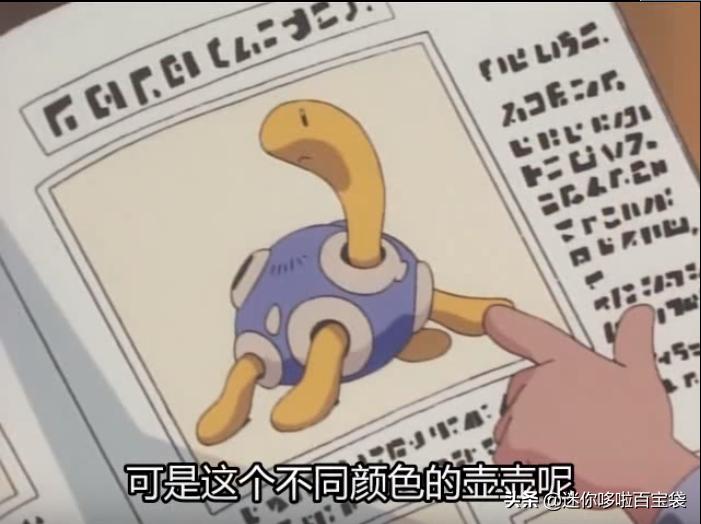 宝可梦里面的所有的宝可梦,宝可梦伊布全部进化形态