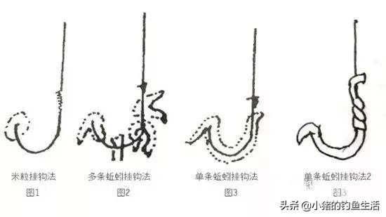 夏天蚯蚓钓鱼用多大的线组,用蚯蚓好钓鱼还是鱼饵好用