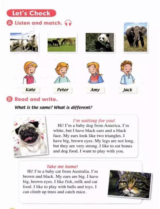 人教版新起点五年级电子课本,人教版新起点英语五年级下册资料