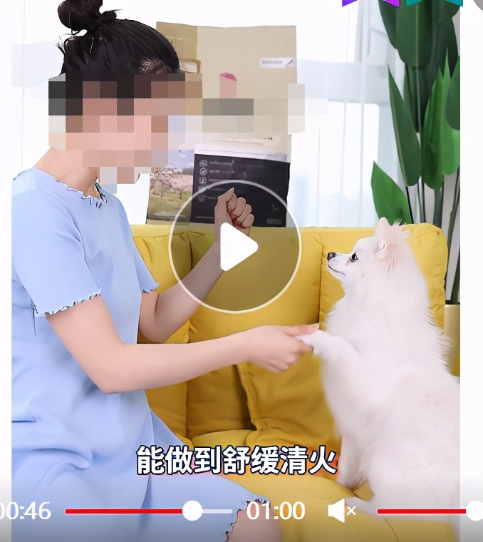 实测爱肯拿鸭肉梨狗粮，涨价，灰粉超标，蛋白脂肪虚标，清火玄学