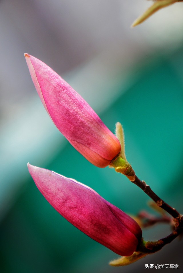 摄影知识包含哪些方面,摄影构图与色彩设计