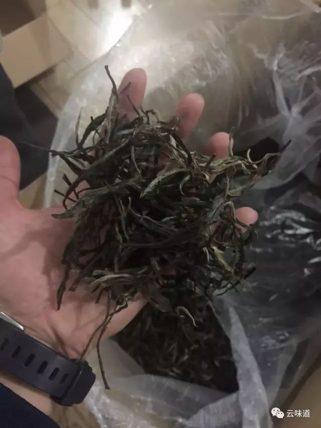18万冰岛普洱茶,冰岛18年茶价格
