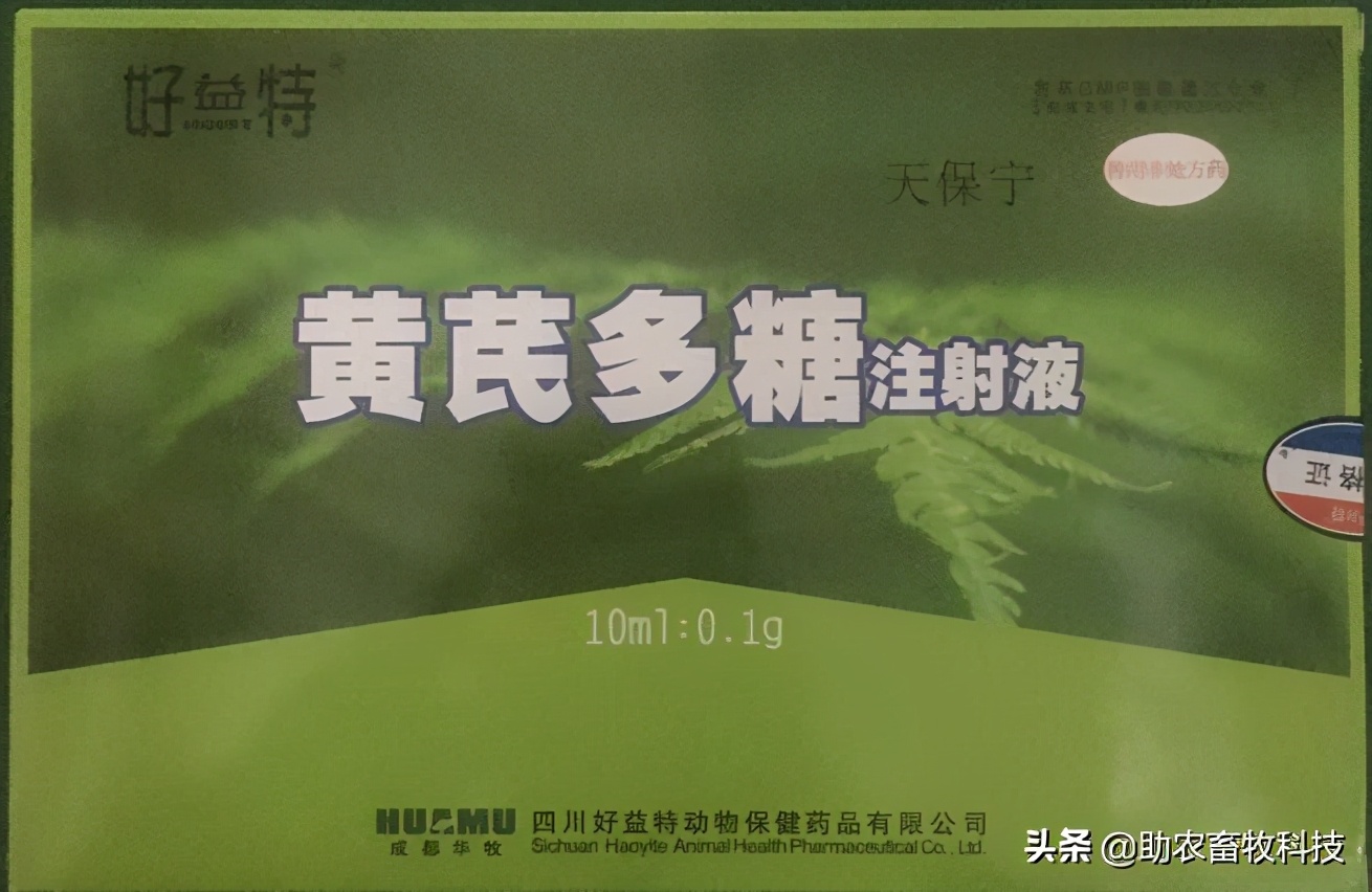 猪发热多少度时用药,猪低温375用什么药